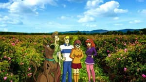 Episode 13