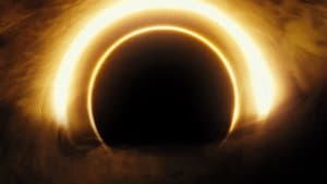 Black holes
