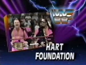 January 19, 1991 - Superstars of Wrestling
