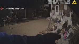 K-9 Down