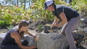 Asheville: Putting Down Roots