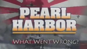 What Went Wrong?