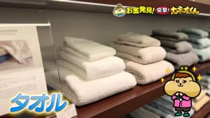 Episode 247