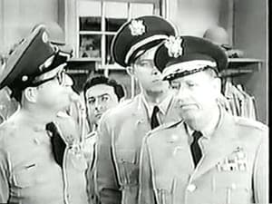Bilko's De Luxe Tours