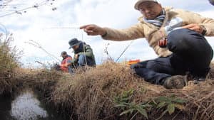Fishing Crazy: In Pursuit of the Smallest Catch