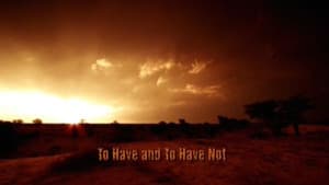 To Have and to Have Not