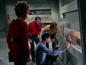 Space Seed