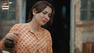 Episode 24