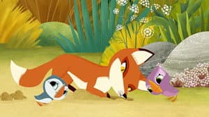 Puffins v Foxes