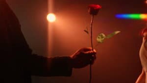 The Bachelor:  Every Rose has Its Thorn