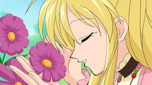 Is Mitsuki an Expert on Love?