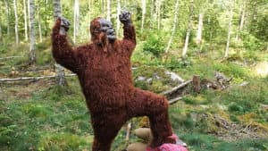 The Skåne Yeti