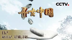 Episode 14