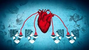 Cardiology
