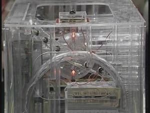 Orac