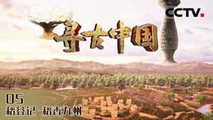 Episode 17
