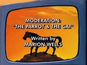 Moderation