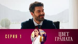 1.1
