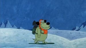 Admiral Bird Dog