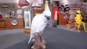 Episode 63