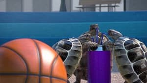 Street basketball