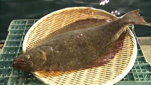 Hirame