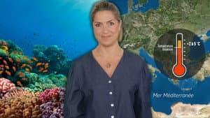 Heatwave: the effect on the seas
