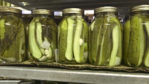 Fermentation