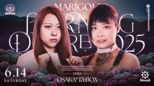 ~1st Anniversary Series~ Marigold Burning Desire 2025 ~ Day 4