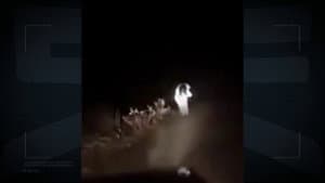 Haunting on Devil Road