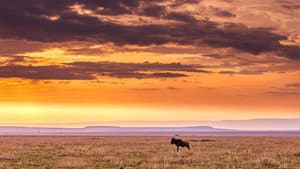 The Wonders of the Rift Valley