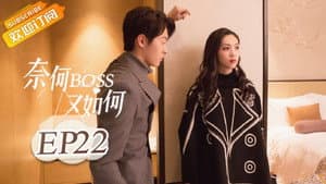 Episode 22
