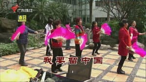 Episode 3339