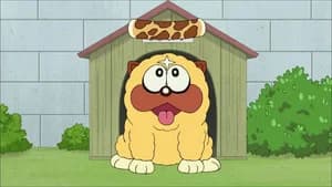 Funny pet video