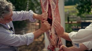 ...We Have Always Eaten Meat?