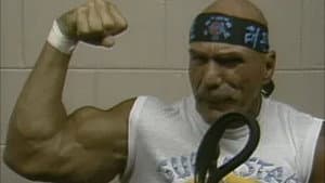 Mid-Atlantic Championship Wrestling - Nov. 17, 1984