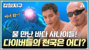 Episode 43