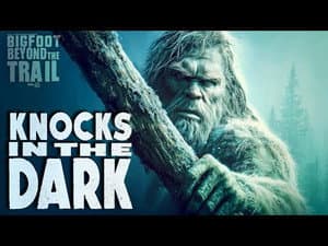 Knocks in the Dark
