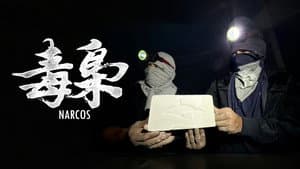 勇闯南美毒窝！我们拍到了可卡因制作的全流程