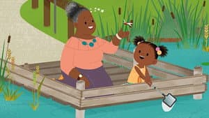 Summer:  It's Time to go Pond Dipping