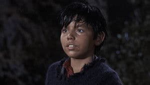 El Toro Grande