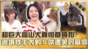 Episode 749