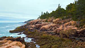 Acadia