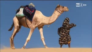 Living in the Desert