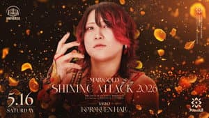 Marigold Shining Attack 2026 ~ Day 7