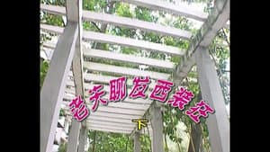 Episode 358