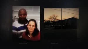What They Saw