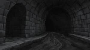 The Sewers of Paris