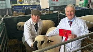 The Great Yorkshire Show