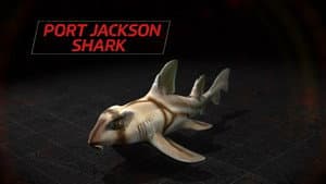 Stinging Sharks